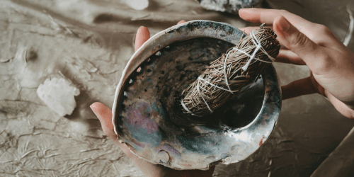 Arihaz For You Categoriebanners - Abalone Schelpen